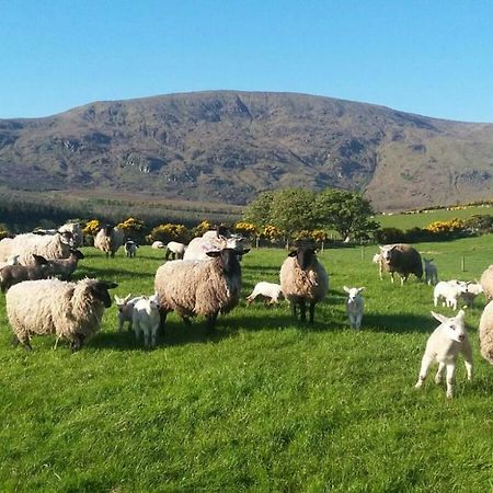 Vila Avondale Sligo Exteriér fotografie